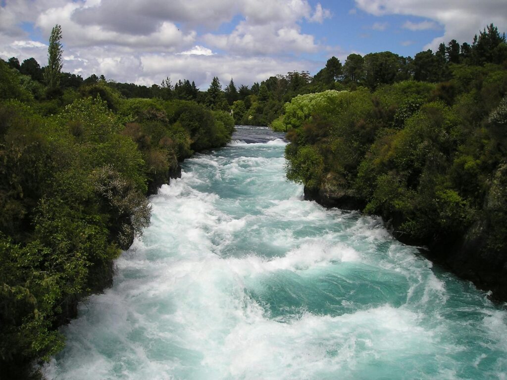 river between trees