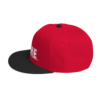 iAPOM Snapback Hat - Image 44