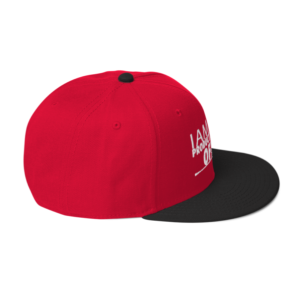 iAPOM Snapback Hat - Image 45