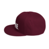 iAPOM Snapback Hat - Image 34