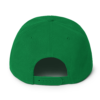iAPOM Snapback Hat - Image 62