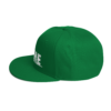 iAPOM Snapback Hat - Image 64