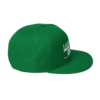 iAPOM Snapback Hat - Image 65