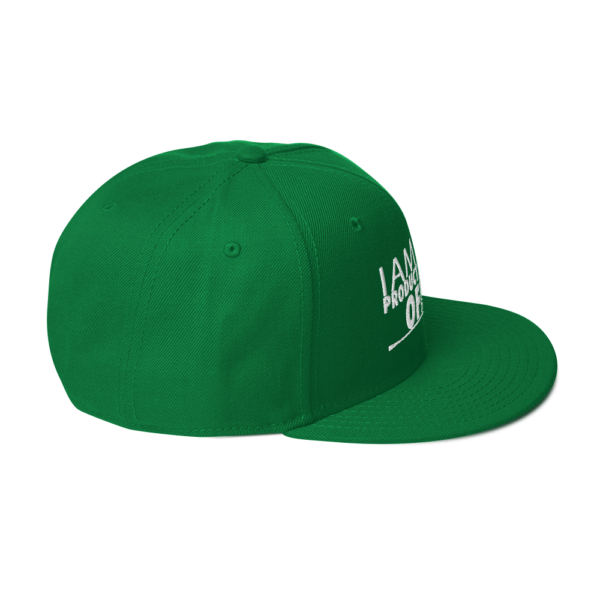 iAPOM Snapback Hat - Image 65