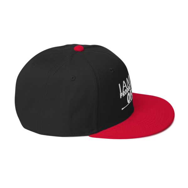 iAPOM Snapback Hat - Image 15