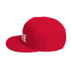 iAPOM Snapback Hat - Image 49